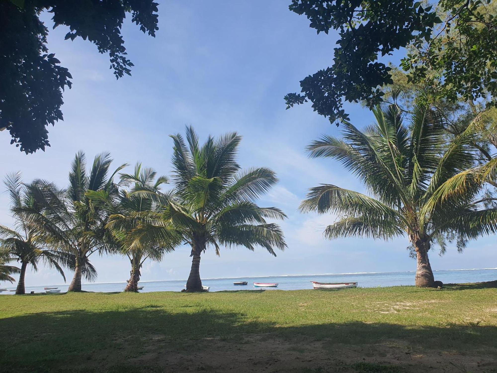 El-Sangha Studio 2Mina Pieds De La Plage De Baie Du Cap Ruisseau Creole المظهر الخارجي الصورة